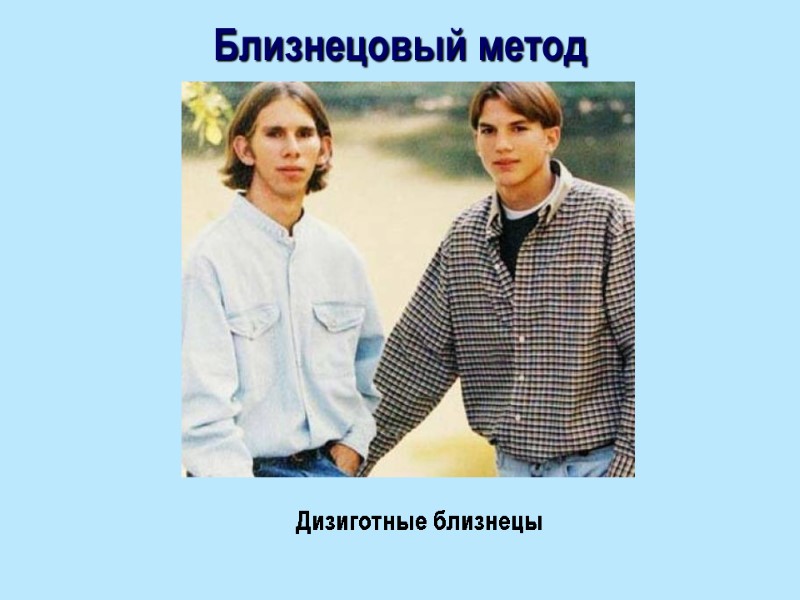 Близнецовый метод Дизиготные близнецы